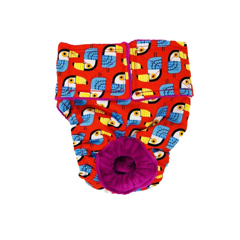 Toucan on Red   Dog Diaper