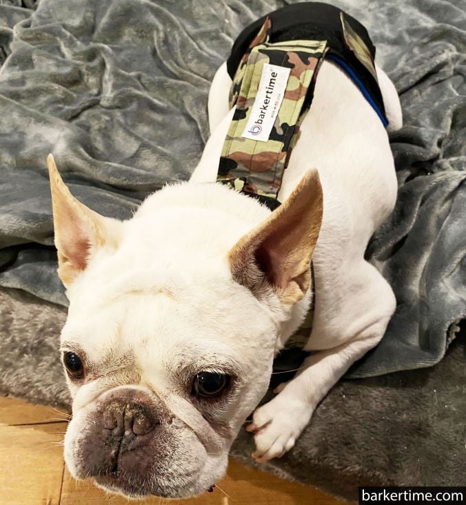 Camo on Black Escape-Proof Waterproof Premium Dog Diaper Overall
