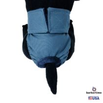 pacific turquoise diaper – model 2