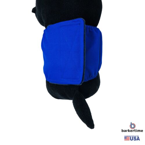 royal blue belly band - model 2