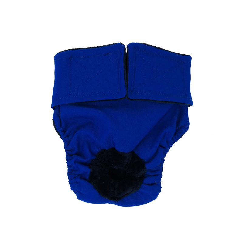 Royal Blue   Cat Diaper