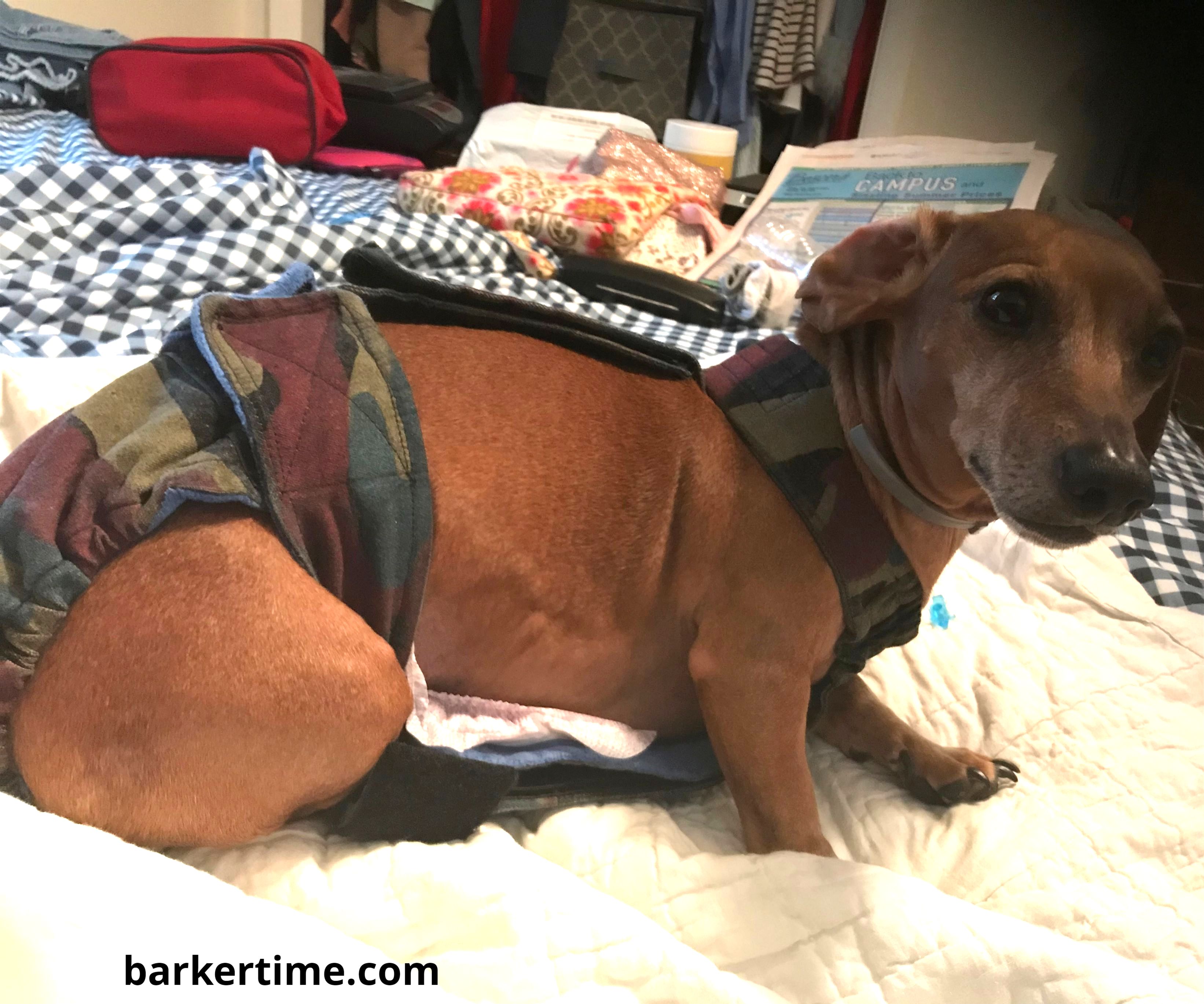 Rustic Camo Escape-Proof Washable Dog Diaper Overall - Barkertime