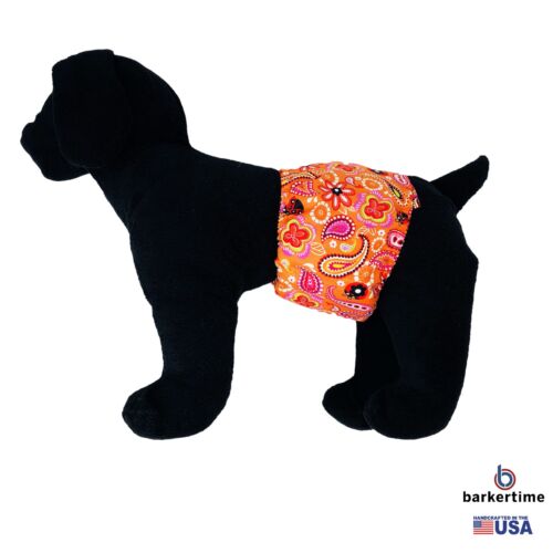 paisley flower on orange belly band - model 1 paisley flower on orange belly band - model 1