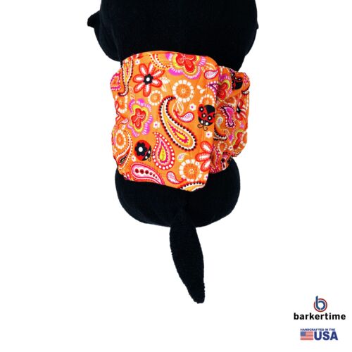 paisley flower on orange belly band - model 2 paisley flower on orange belly band - model 2