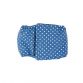 white polka dot on baby blue belly band