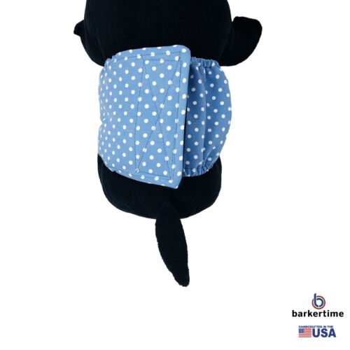 white polka dot on baby blue belly band - model 2 white polka dot on baby blue belly band - model 2