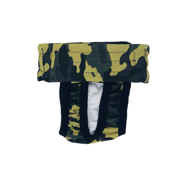 How dog diapers for poop work for dogs with fecal incontinence