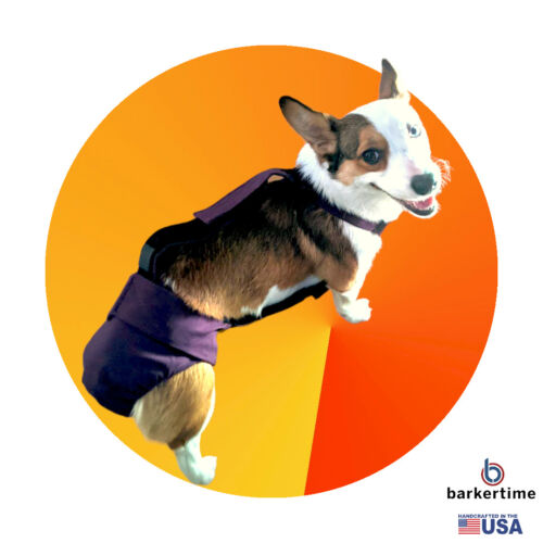 Tina Gardner - barkertime corgi dog diaper