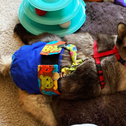 Tallulah - Watkins - barkertime cat diaper stud pants