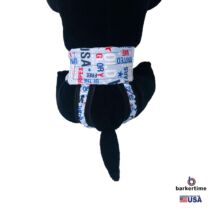 USA united we stand diaper pull-up – model 2