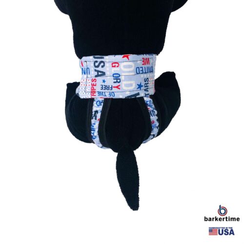 USA united we stand diaper pull-up - model 2 USA united we stand diaper pull-up - model 2