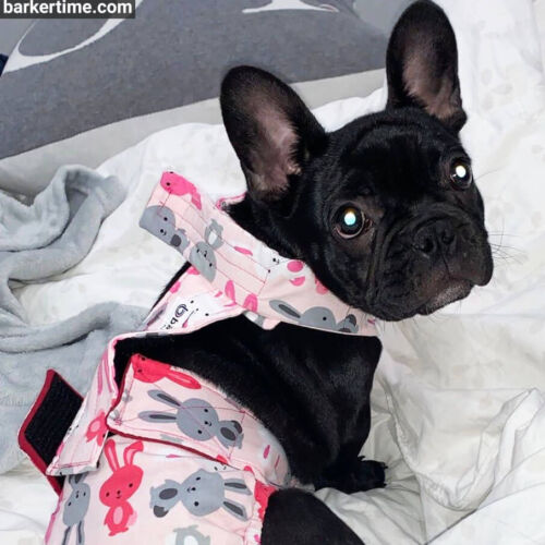 Olive - Mendoza 1 - barkertime frenchie french bulldog dog diaper