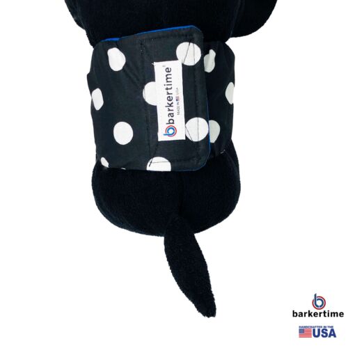 white polka dot on black belly band - model 2 white polka dot on black belly band - model 2