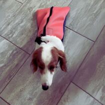 dachshund dog drag bag