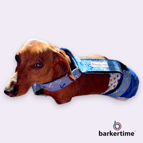 dachshund wiener dog diaper