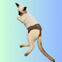 Mid Century Pop on Beige Cat Diaper Snappy