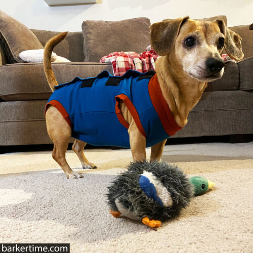 Maxi - Lappala 3 - barkertime Maxi - Lappala 3 - barkertime