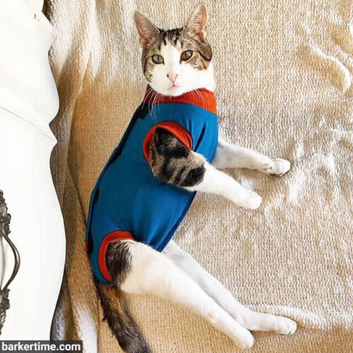 rocky - peejama 2 - barkertime rocky - peejama 2 - barkertime