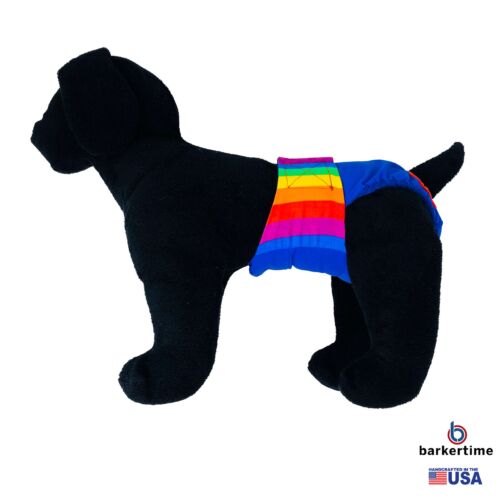 rainbow diaper - model 1 rainbow diaper - model 1