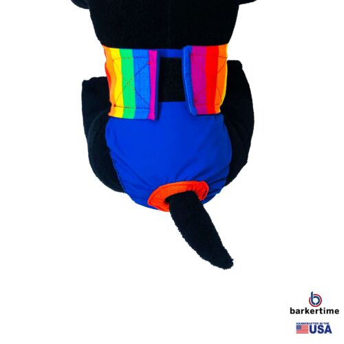 rainbow diaper - model 2 rainbow diaper - model 2