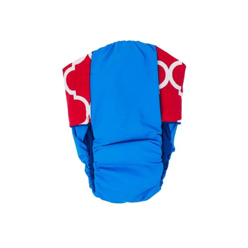 red quatrefoil on sky blue diaper - back red quatrefoil on sky blue diaper - back