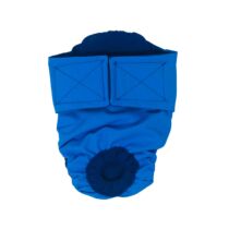Aqua Blue Dog Diaper