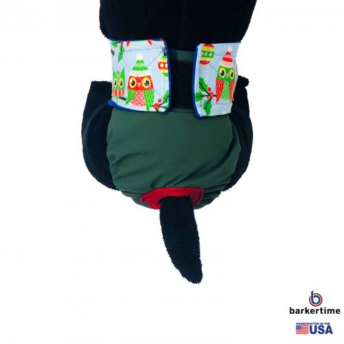 holiday owl on green diaper - model 2