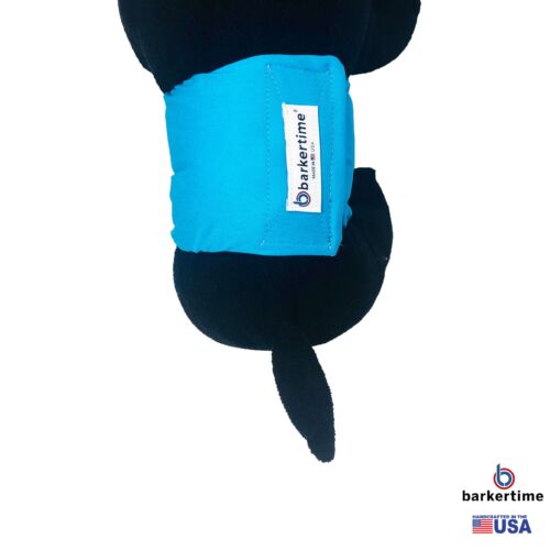 sky blue belly band - model 2 sky blue belly band - model 2