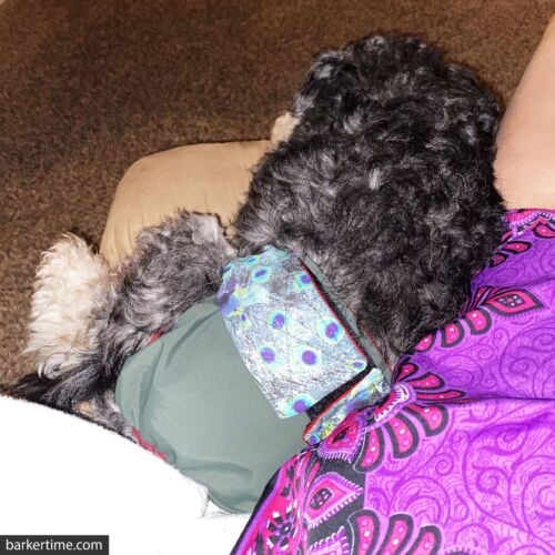 Duncan - Uhrmacher - barkertime Duncan - Uhrmacher - barkertime