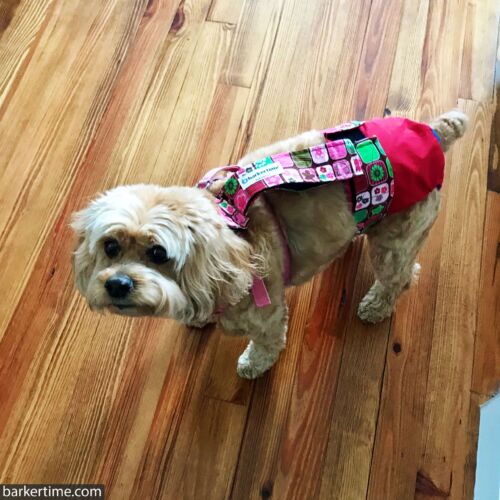 Ruby - Aldridge 3 2 21 - barkertime Ruby - Aldridge 3 2 21 - barkertime