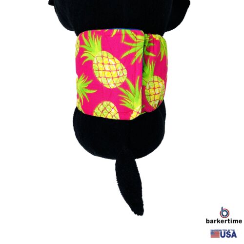 pineapple express belly band - model 2 pineapple express belly band - model 2