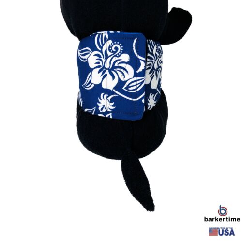 white hawaiian on blue belly band - model 2 white hawaiian on blue belly band - model 2