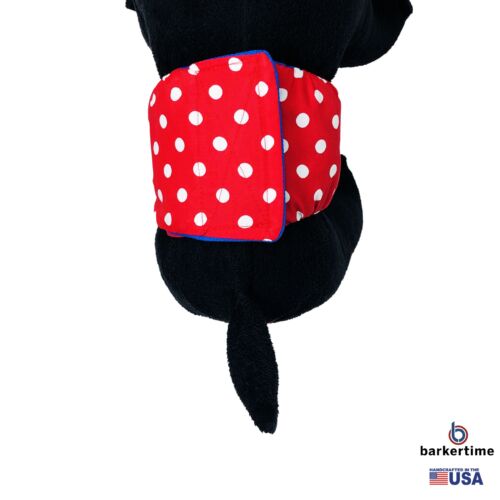 red polka dot belly band - model 2 red polka dot belly band - model 2