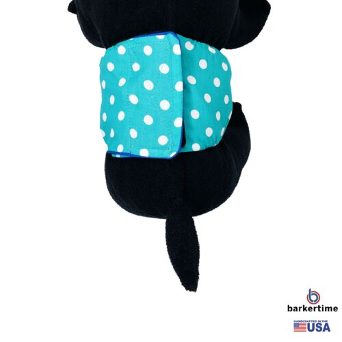 turquoise blue polka dot belly band - model 2 turquoise blue polka dot belly band - model 2