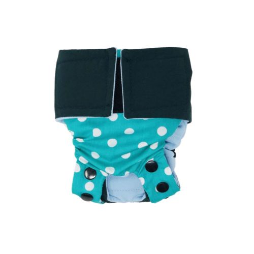 olive green on turquoise polka dot diaper snappy