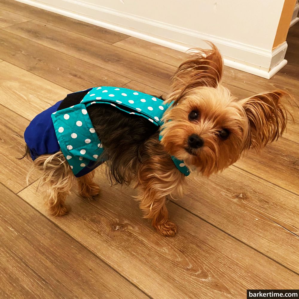 Turquoise Blue Polka Dot on Blue Escape-Proof Waterproof Premium Dog Diaper Overall