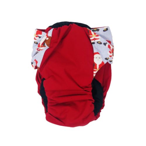 santa claus on red diaper - back