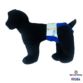 fashion dog teal diaper - model 1
