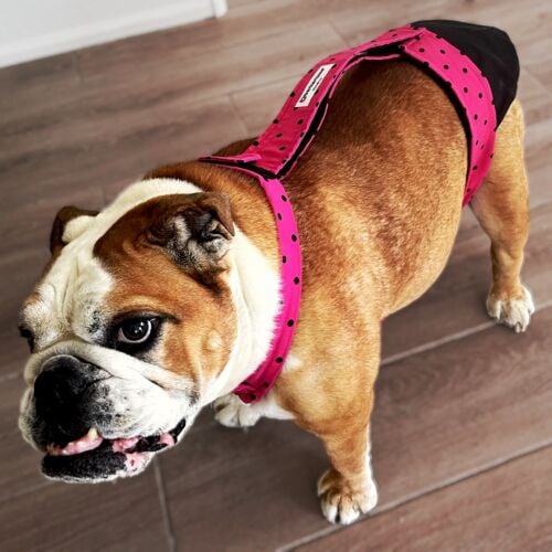 Tallulah - Alward-Photoroom Tallulah - Alward-Photoroom