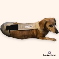 dachshund dog diaper