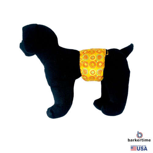 yellow starblast dog belly band - model 1