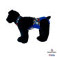 doggie with bones on blue diaper overall - model 1