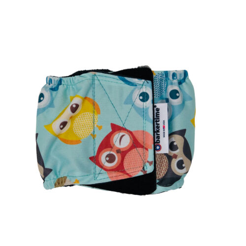 happy owl on blue belly band