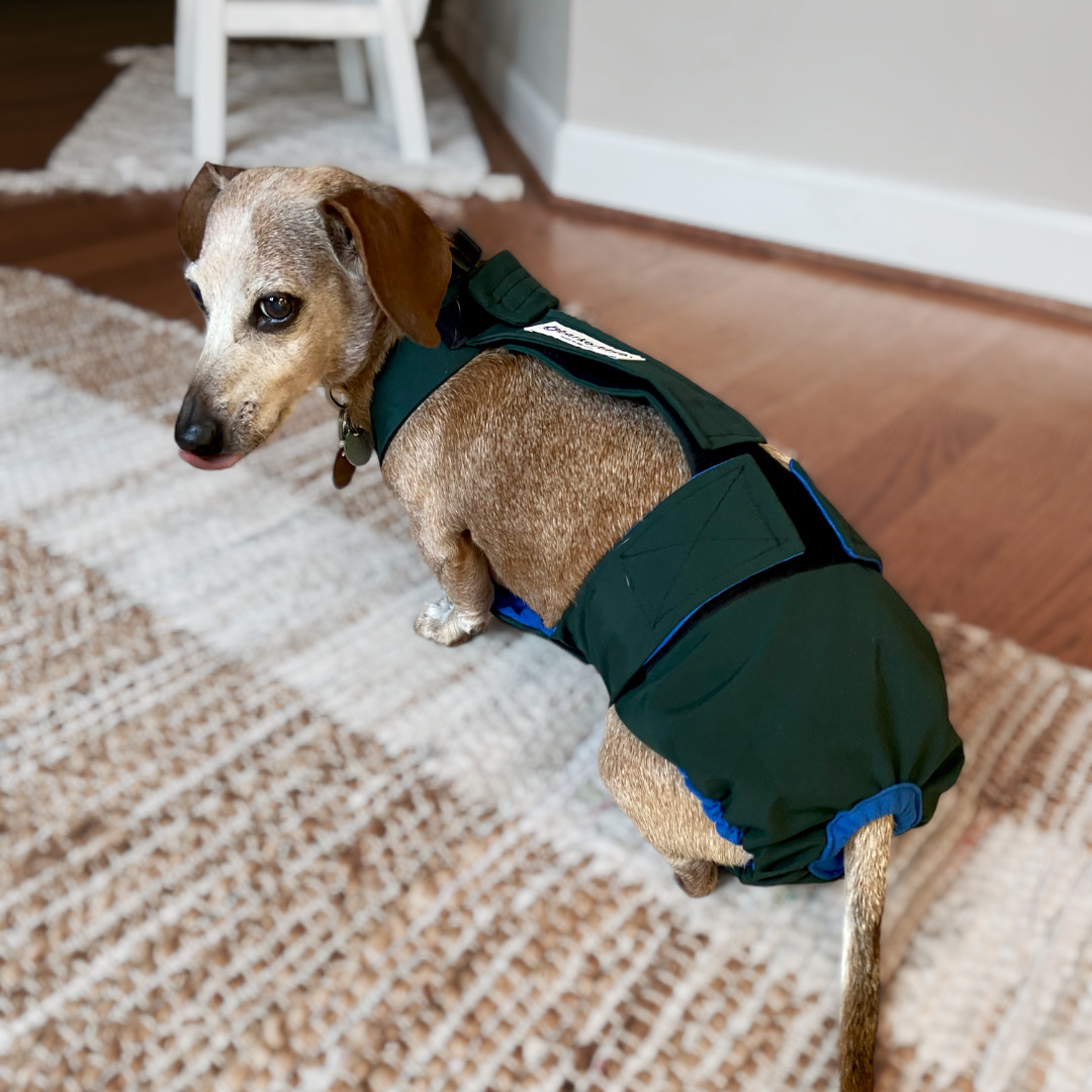 Olive Green Escape-Proof Premium Waterproof Dog Diaper Overall