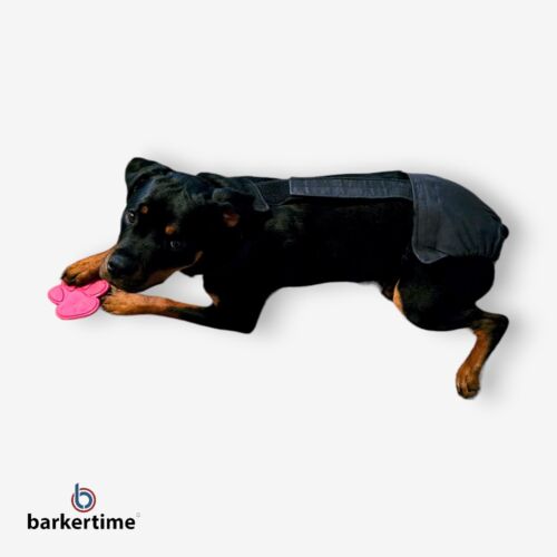 rottweiler dog diaper