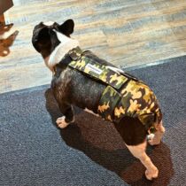 french bulldog dog diaper