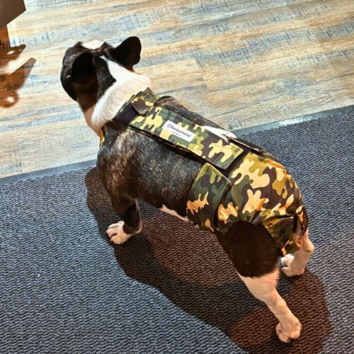 french bulldog dog diaper