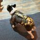 french bulldog dog diaper