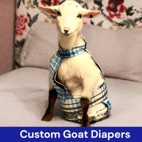 custom goat diapers