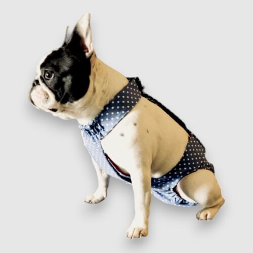 french bulldog dog diaper